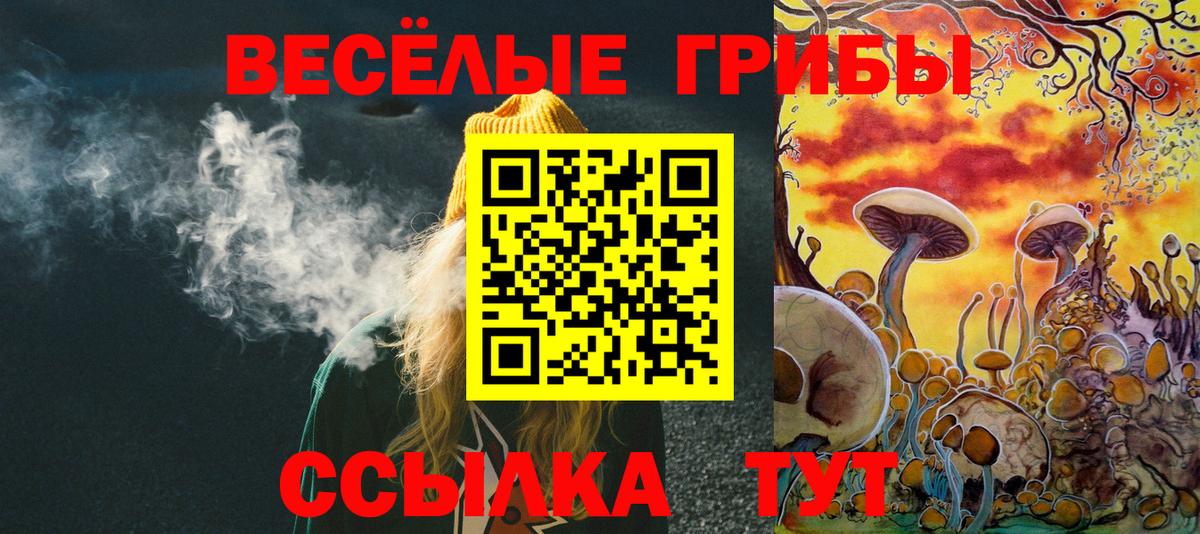 Менделеевск  Галлюциногенные грибы Psilocybine cubensis  Вход с VPN  Галлюциногенные грибы Psilocybe 