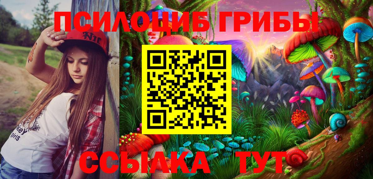 Галлюциногенные грибы прущие грибы Менделеевск